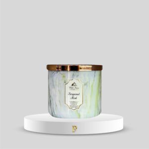 Vela Perfumada 3 Mechas Bergamot Mint de Bath & Body Works